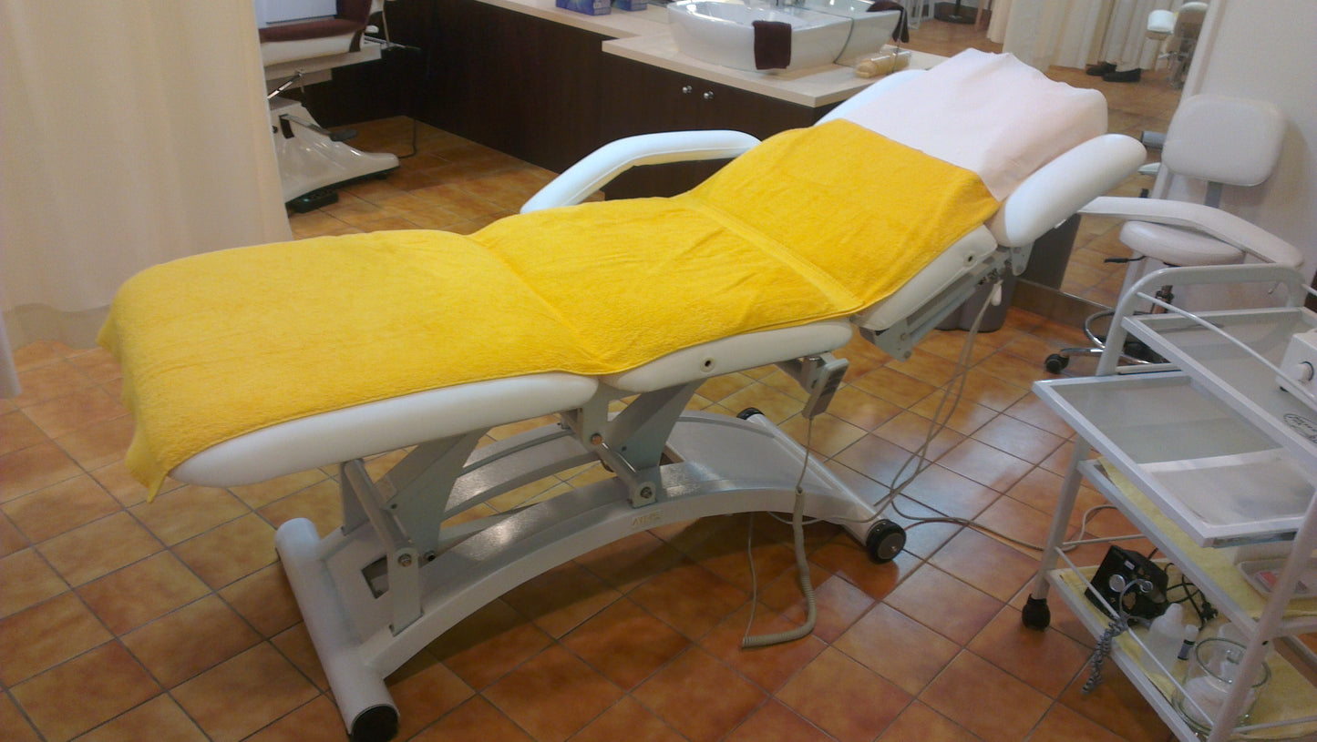 Terapevtska miza Master Fox-2241C