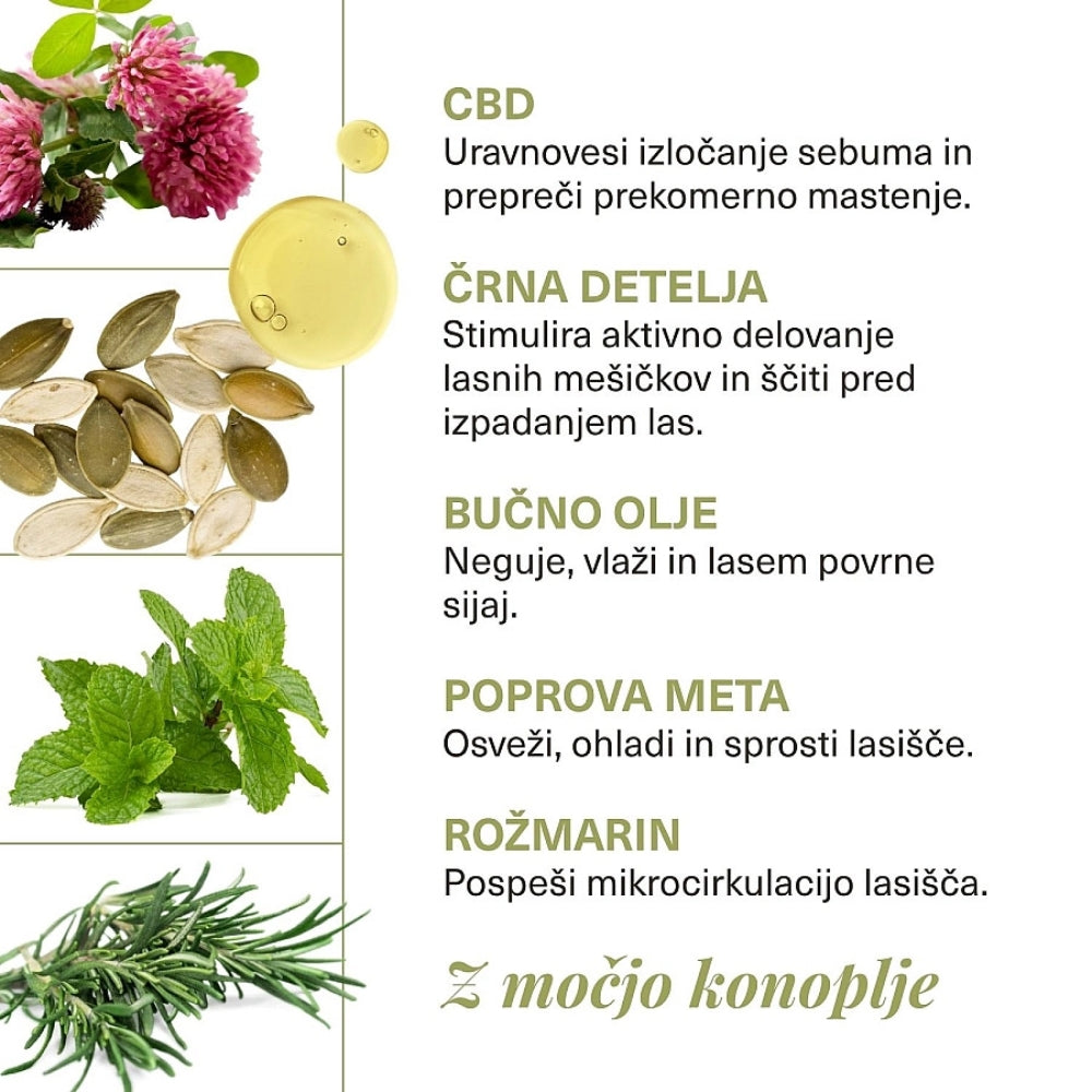 CBD-Revive-tretma -za-lasisce