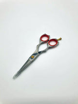 Profesionalne frizerske škarje | Spicy 5.5"