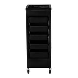 Frizerski voziček Hoar